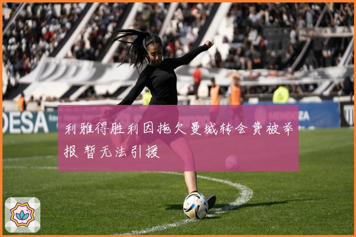 利雅得胜利因拖欠曼城转会费被举报 暂无法引援